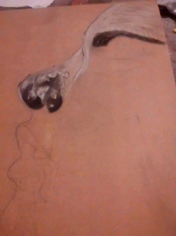 Dibujo