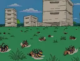 abejas