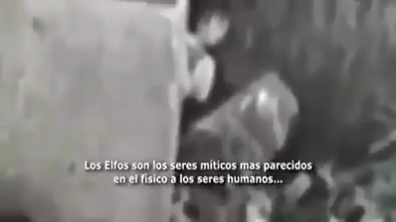 El video de un ELFO | ¿Real o Fake?