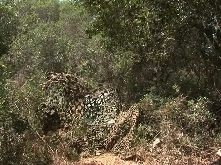 camuflajes