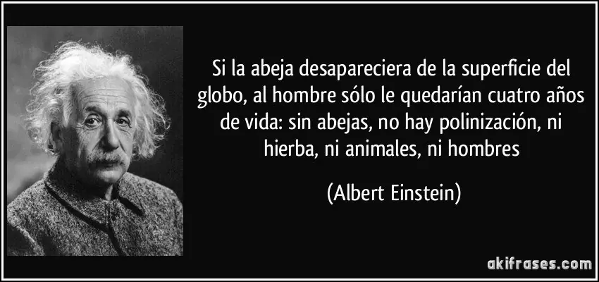 Que pasaría si las abejas desaparecerían,Pasa lince