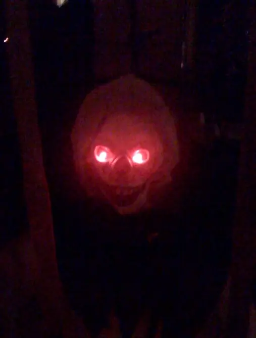 Terror