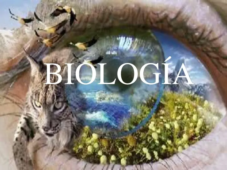 Temas de Biologia 5to Año - Naturales