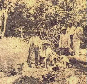 del amazonas