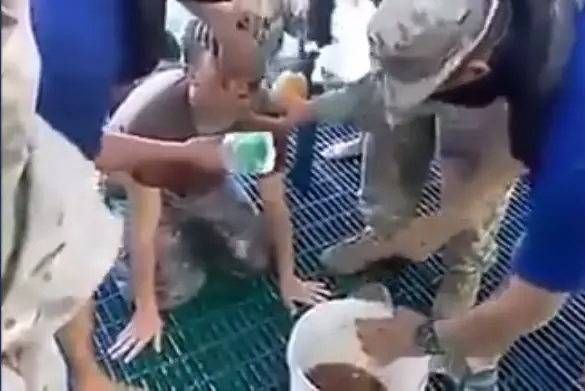 Quieres entrar a la armada de chile mira lo que debes hacer