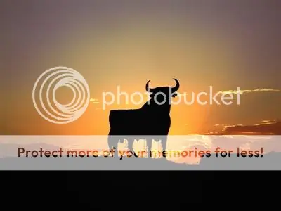 El Toro y la Mosca (Fábula con Moraleja)