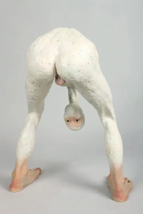 cuerpos