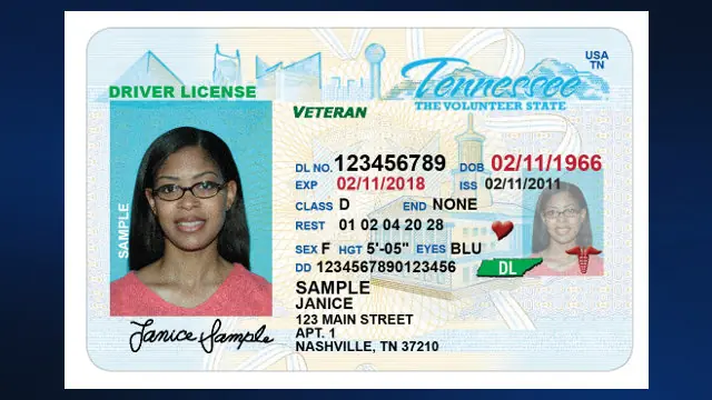 Licencias de conducir yankees (así son)