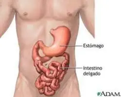 curiosidades