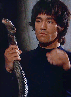 bruce lee