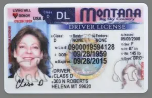 Licencias de conducir yankees (así son)