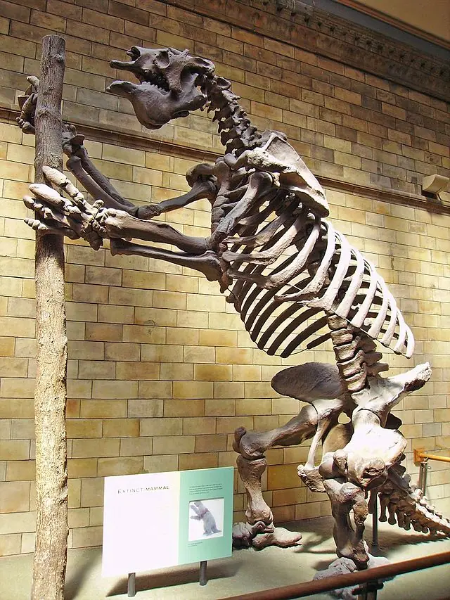 especimen