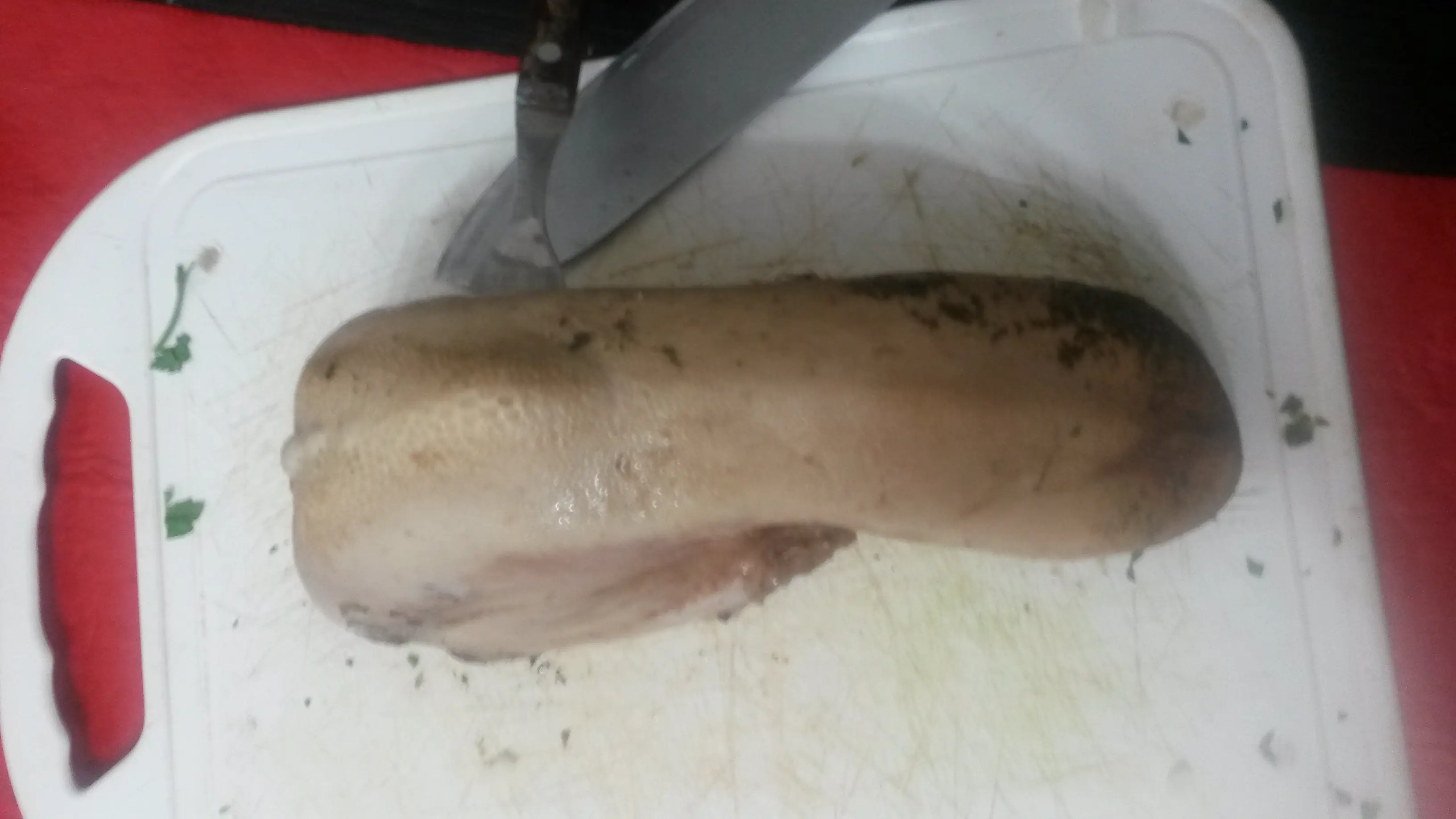 carnes