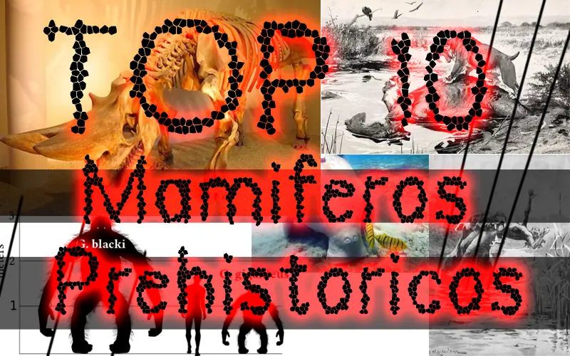 Top 10 Mamíferos prehistóricos