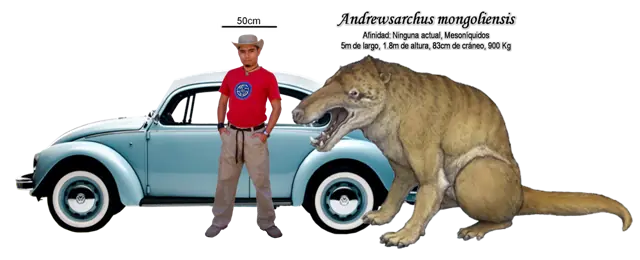 educacion