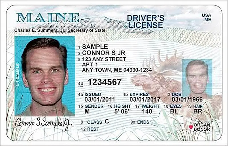 licencias de conducir