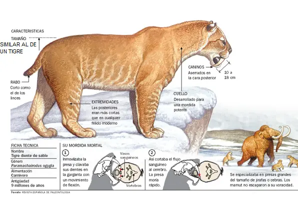 prehistoricos