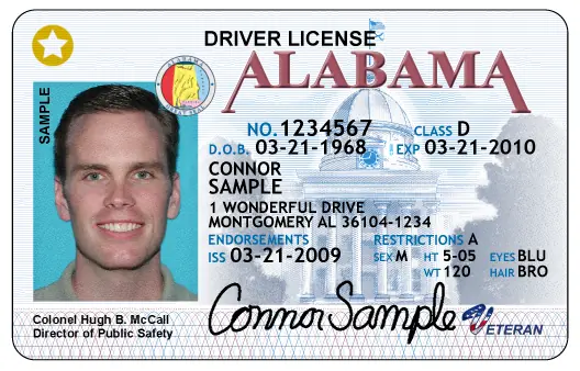 driver license