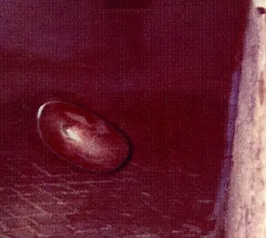 creepy post