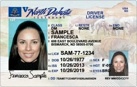 carnets de conducir
