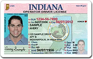 driver license