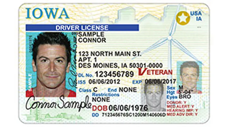 Licencias de conducir yankees (así son)