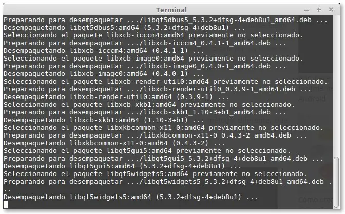 linux mint