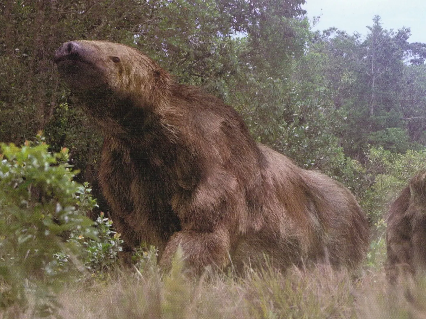 prehistoricos