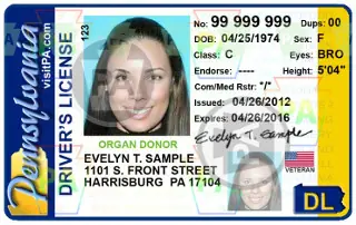 driver license