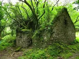 naturaleza naturaleza