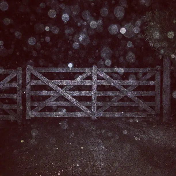 campo