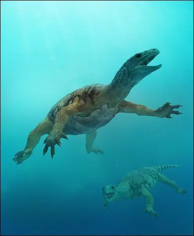7 animales considerados primeros en la evolucion de su grupo