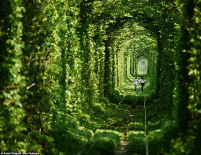naturaleza naturaleza