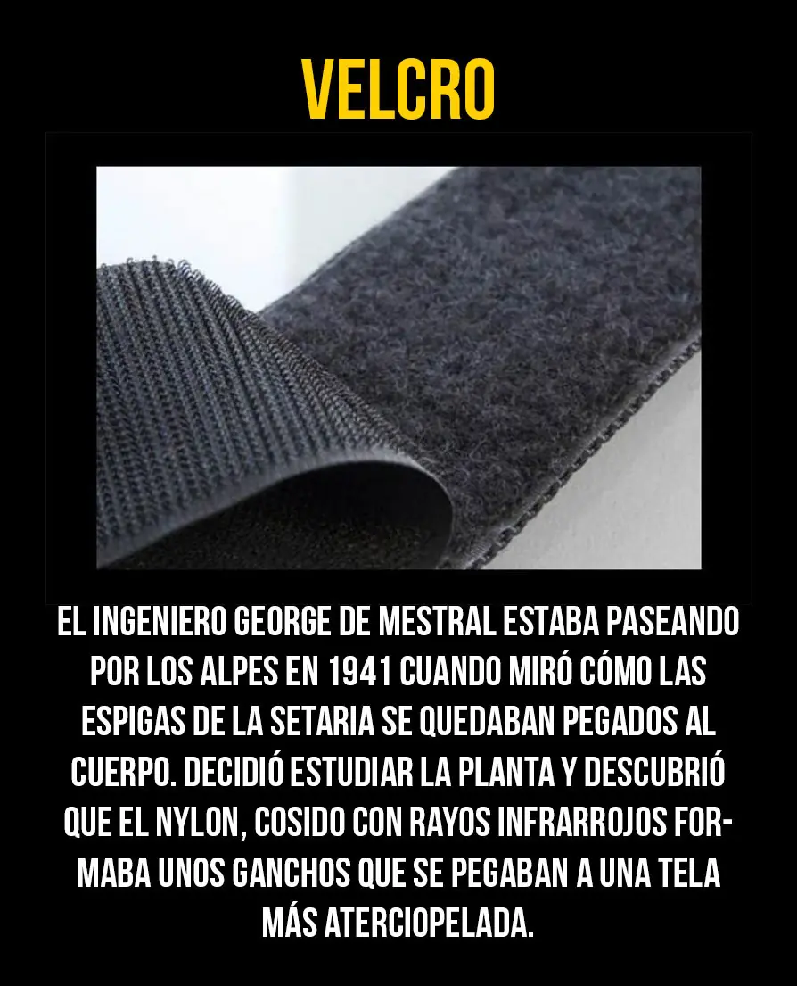 creacion