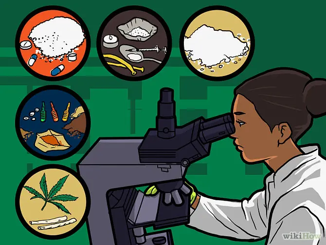 Como obtener negativo en una prueba de drogas, te enseño!