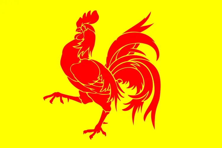 divisiones