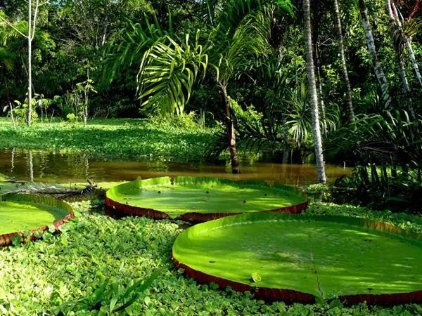 Lugares que tienes que visitar