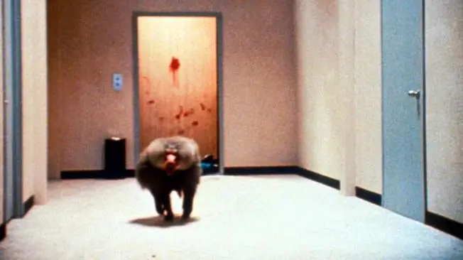 animal movie