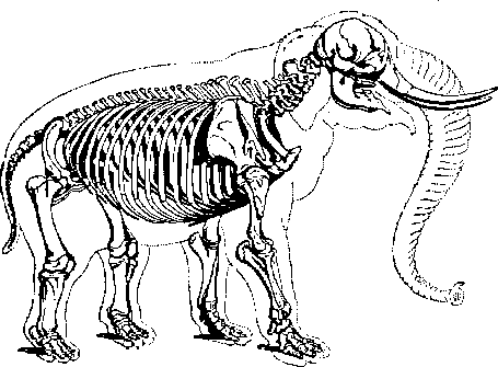 sabias
