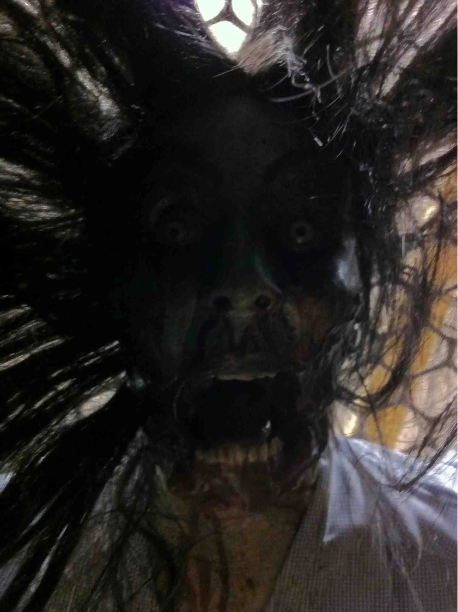 13 mini-historias de terror en dos oraciones