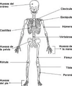 curiosidades