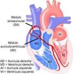+5 Si te llevas algo!