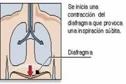 +5 Si te llevas algo!