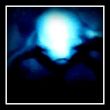 ningen