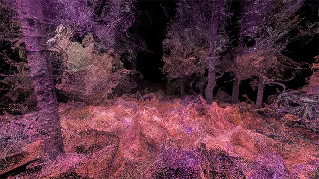 Realidad virtual permite ver el mundo como un animal