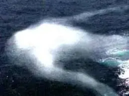 Cuento sobre el mito de los ningen