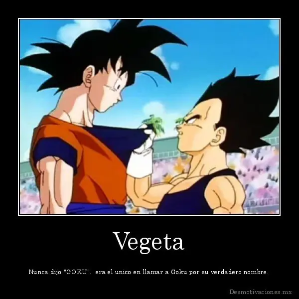 vegeta vegeta