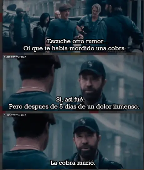 Chuck Norris Chuck Norris