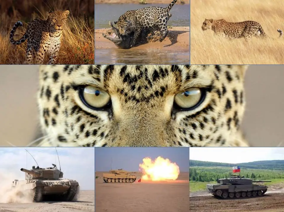 Leopard 2A4 CHL, el felino dominante de Américalatina