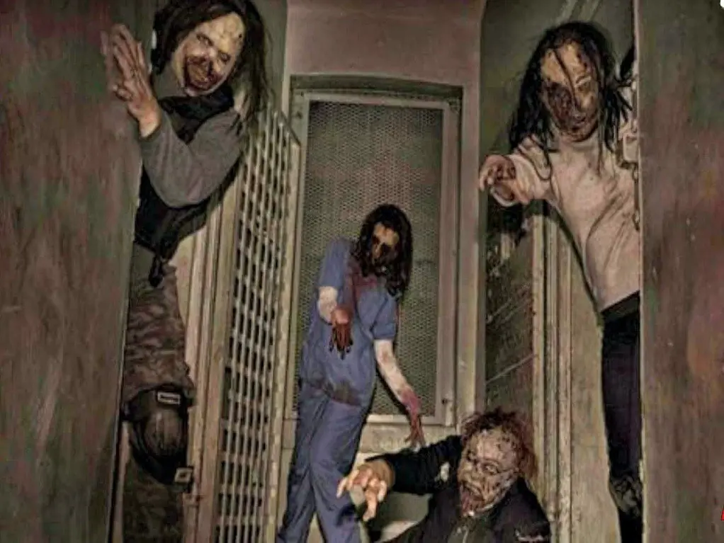 Día de Halloween 2015